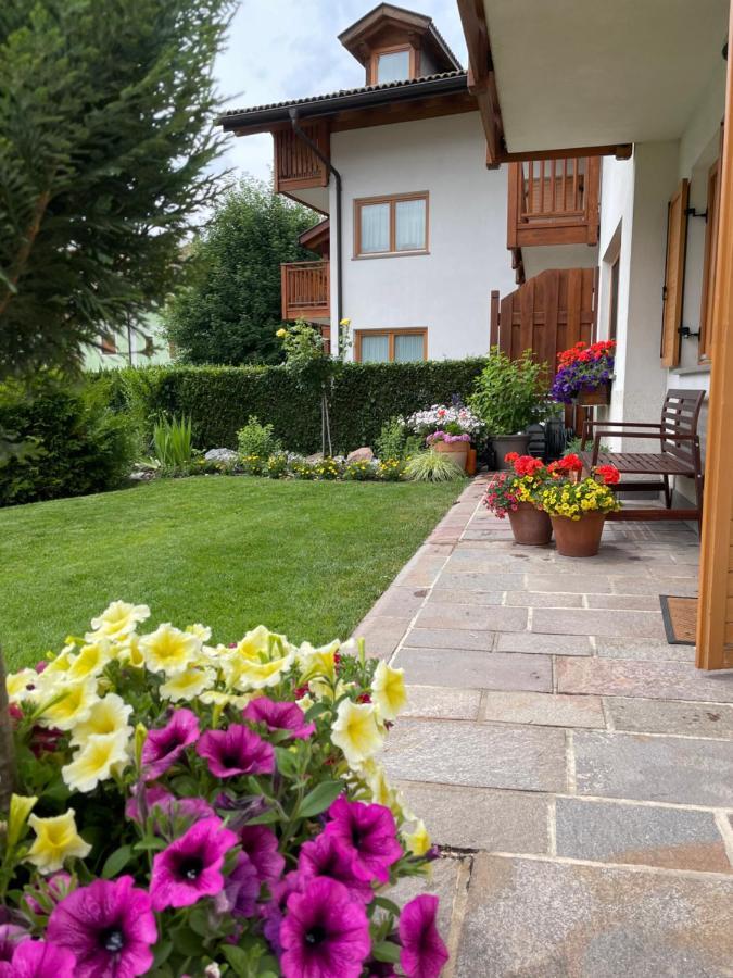 Casa Beba - Agenzia Dolomiti Affitti Daire Cavalese Dış mekan fotoğraf