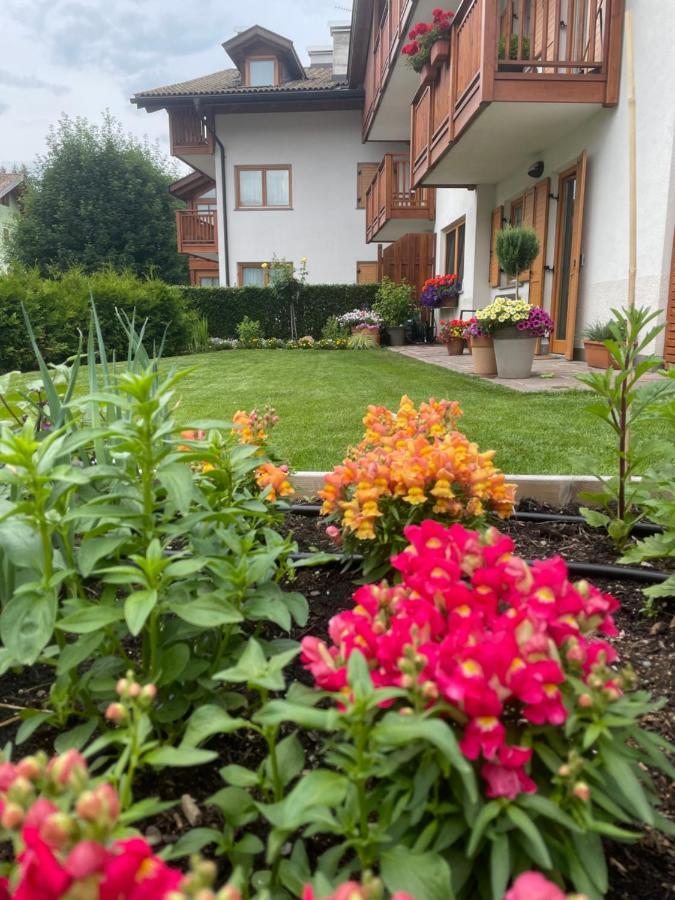 Casa Beba - Agenzia Dolomiti Affitti Daire Cavalese Dış mekan fotoğraf